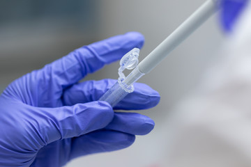 Polymerase Chain Reaction (PCR) and Agarose gel electrophoresis is a method of gel electrophoresis...
