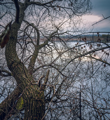 Fading nature in autumn plants