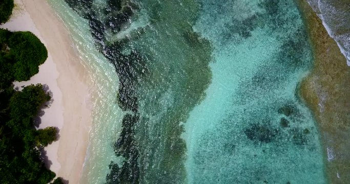 Brown green texture of seabed with coral reef, white sand and green algae under water of lagoon in Bali coastline