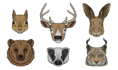 Wild Animals Muzzles Vector Set. Highly Detailed Neb Collection