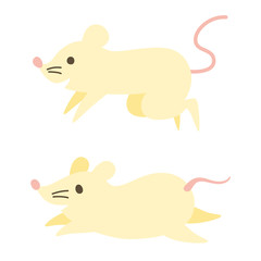 可愛いネズミのイラスト