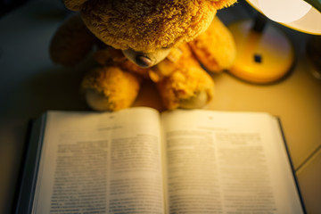 teddy reading a book