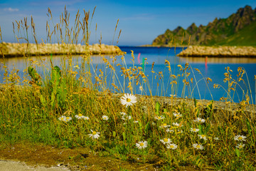 Fishing port in Bleik village, Andoya island