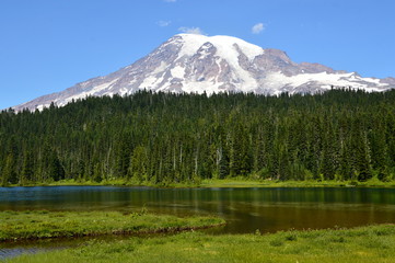 Fototapeta na wymiar Mount Rainier National Park, Washington
