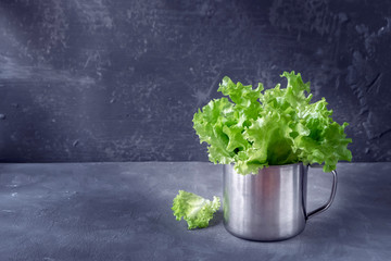 Green lettuce leaves in an aluminum mug on a gray background. Rustic style, copy space.