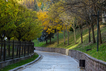 autumn day parks and gardens