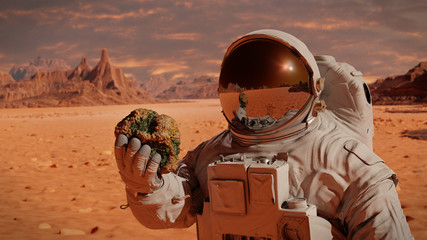 life on planet Mars, astronaut discovers bacterial life on the surface of a rock © dottedyeti