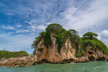 Fototapeta premium Los Haitises National Park nicknamed the Caribbean's Halong Bay.Mangroves, caves, a rich tropical forest, The coast is dotted with small islets.Samana peninsula, Dominican Republic.