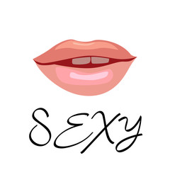 sexy lips vector illustration