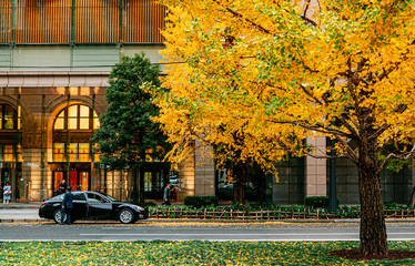 Marunouchi District modern office buildings Tokyo downtown in Autumn