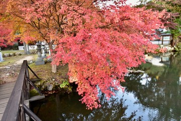 autumn in the city