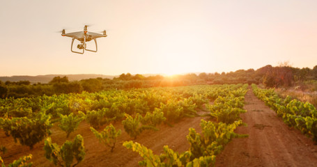 Drone controlled smart farming