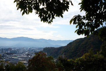 秋の葉