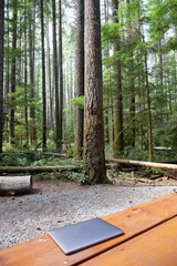 Nature meets technology for the workaholics; a laptop and a mouse on a picnic table in a campground...