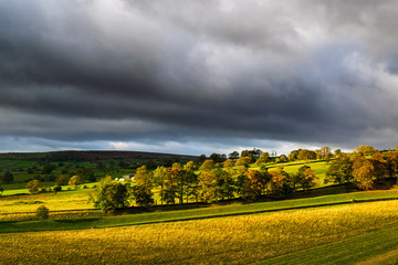 Autumn scene with golden trees and dark skies. Swinsty. Yorkshire
