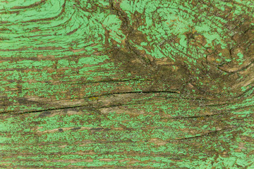 Close up of wooden background. Green.