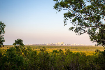 Landschaft mit Bäumen und Wiese