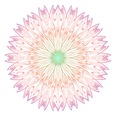 Floral decorative mandala. Spring style. Vector illustration