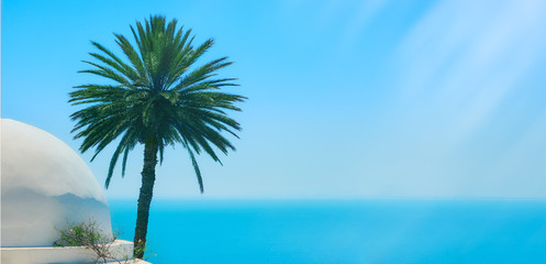 Ocean, palm and sky, copy space background. Arabian seascape in Sidi Bou Said, Tunisia