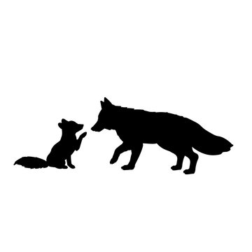 Silhouette of fox and little fox