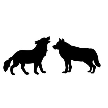 Silhouette of two wolves. The wolf family