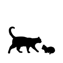 Silhouette of cat and little kitten. Pet animals