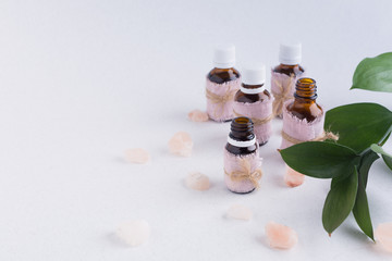 Bottles with aromatic oils and a branch with green leaves on a white background