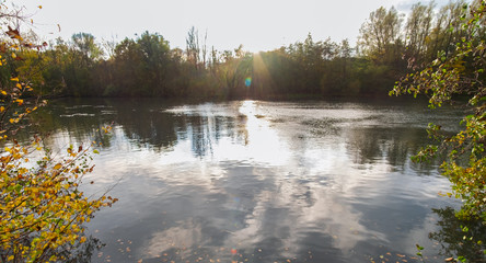 reflection of trees in lake