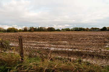 field in autumn