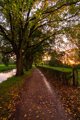 autumn in the park