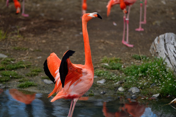 動物園