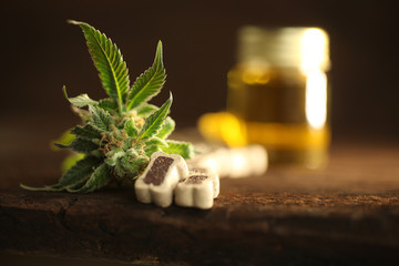 Medical marijuana cannabis cbd oil dog food