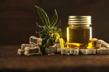 Medical marijuana cannabis cbd oil dog food