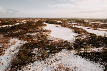 Aerial winter scenery. Early morning at swamp with frozen water and pine tree.