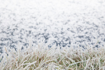 Close up image of hoarfrost grass at early winter morning. Copy space. 