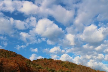 空　冬　雲　風景　杤木