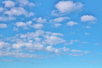 空　雲　冬　杤木