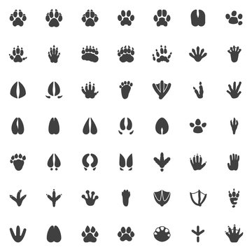 Animal paw print vector icons set, modern solid symbol collection, Animals footprints filled style pictogram pack. Signs, logo illustration. Set includes icons as Dog Fox Bear, Raccoon, Badger, Monkey