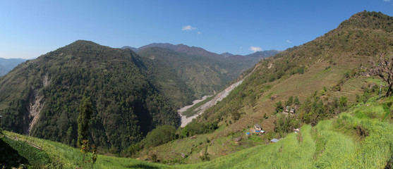 Fototapeta na wymiar Panorama Berge mit Wald