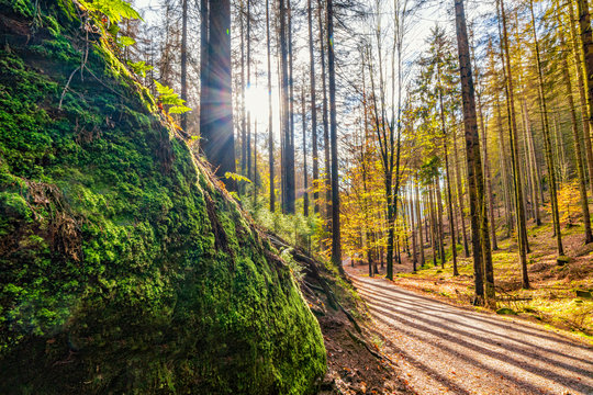 Auf dem Wanderweg zum Prebischtor in der B&ouml;hmischen Schweiz