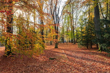 Polanica Zdroj - Autumn in polish spa park