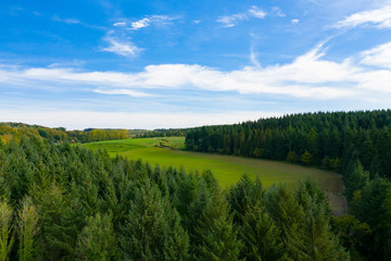 Arbres dans une forêt ou un bois au début de l'automne avec le ciel bleu en arrière plan