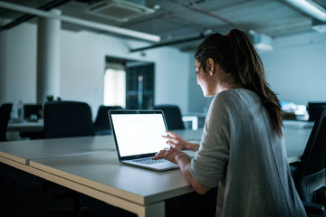 Young businesswoman with computer sitting in an office, working.