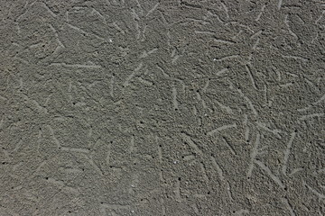 The hole of the crab when the water recedes.