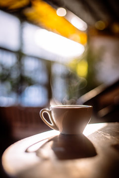 Steamy coffee cup in the sunlight