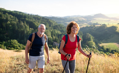 Senior tourist couple travellers hiking in nature, walking and talking.
