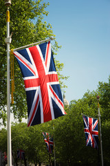 Fototapeta na wymiar Union Jack flags hanging above the leafy streets of London, UK under bright blue sky