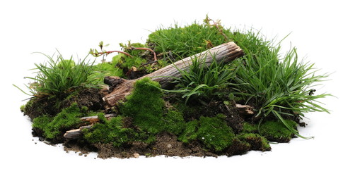 Green moss on soil, dirt pile with tree branches and grass isolated on white background