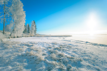 Cold winter day landscape with snowy trees. Photo from Sotkamo, Finland.