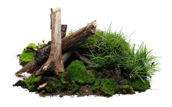 Green moss on soil, dirt pile with tree branches and grass isolated on white background